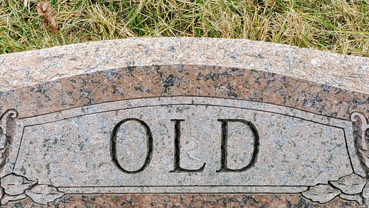 How Old Is Tanjiro Kamado In Steins Gate?